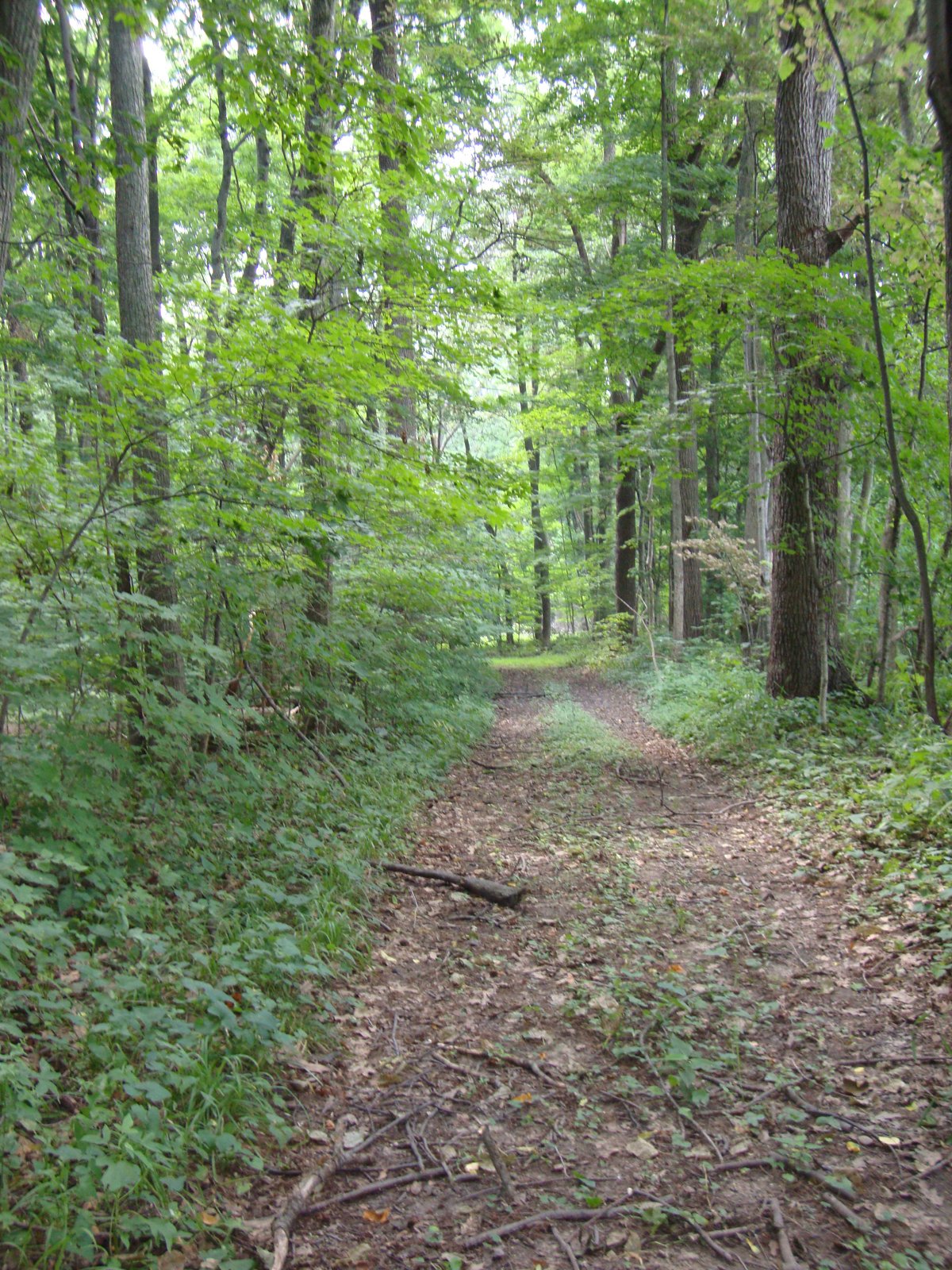 Property photo 30 - 160 Acres Offered in 6 Tracts